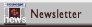 Newsletter spectacle